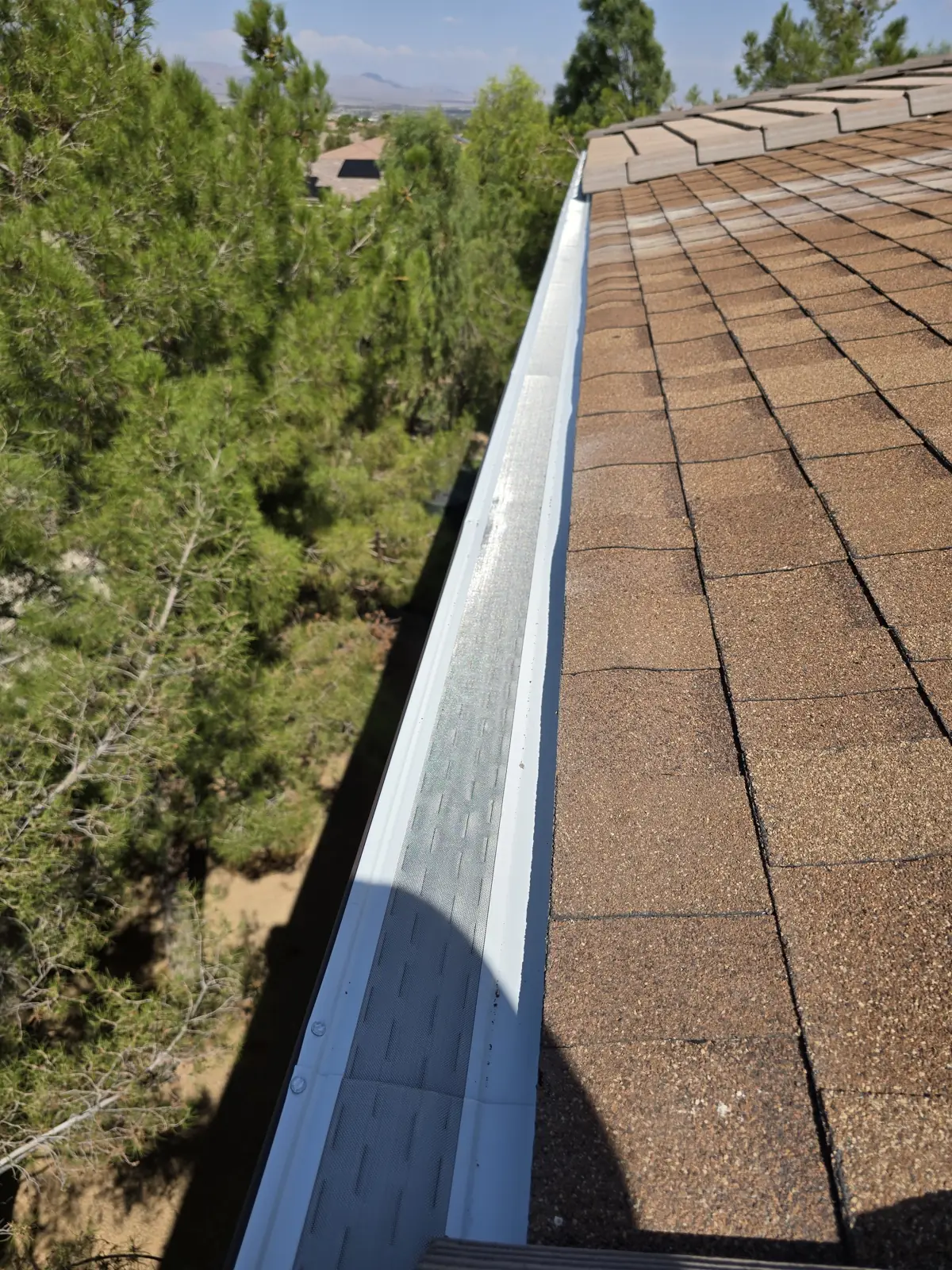 Micro-mesh gutter guard on a seamless gutter beside pine trees on a Las Vegas, NV home
